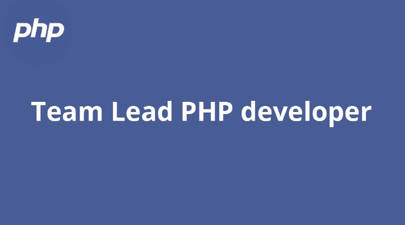 **Team Lead PHP developer**