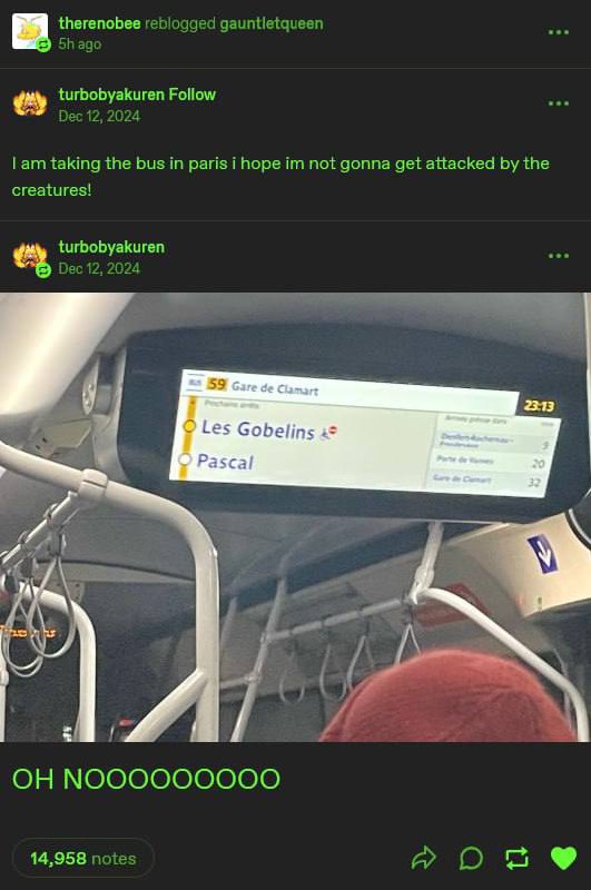 Good Posts for Raccoon Petters