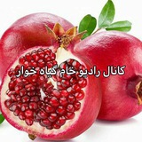 ***🈵******🍏******🈵******🍏******🈵******🍏******🈵******🍏******🈵***