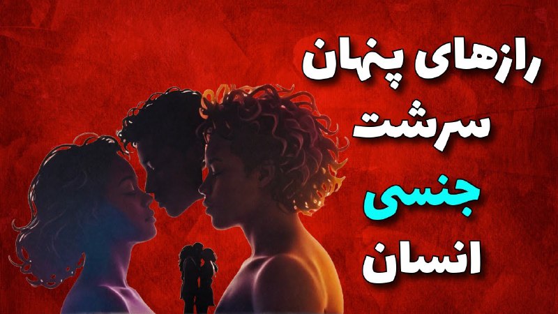 **سرشت جنسی انسان: معرفی کتاب Sex …