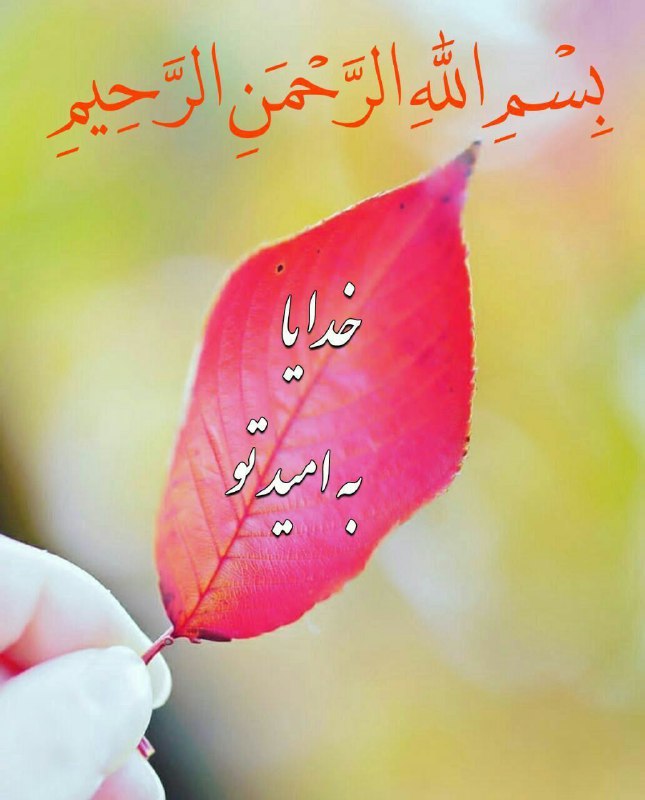 ***?***بِسْمِ اللَّهِ الرَّحْمَنِ الرَّحِيمِ