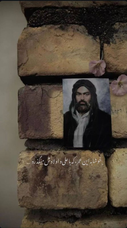 ۱۱۰رافضی ( فضائل اهلبیت)