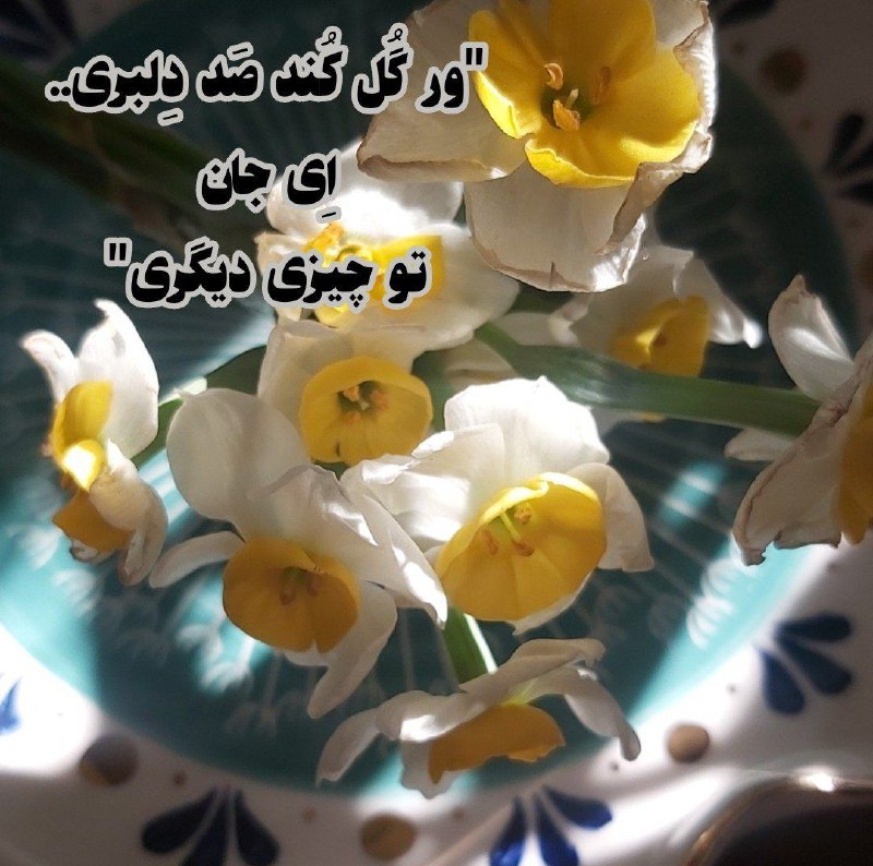 **"ور گُل کُند صَد دِلبری..