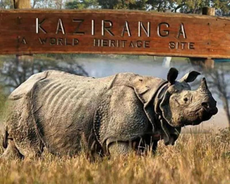 असम स्थित काजीरंगा राष्ट्रीय उद्यान सैटेलाइट फोन सुविधा वाला देश का पहला राष्ट्रीय उद्यान बन गया। यह पहल अवैध शिकार …