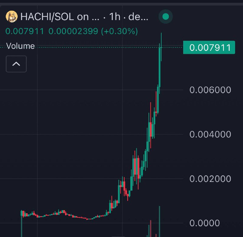 $HACHI on price discovery!