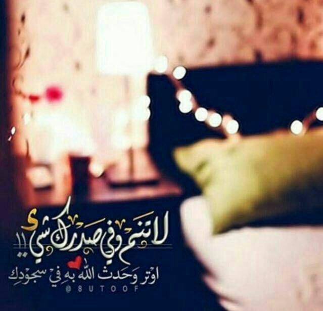 عن عبدالله بن أبي قبيس قال: …
