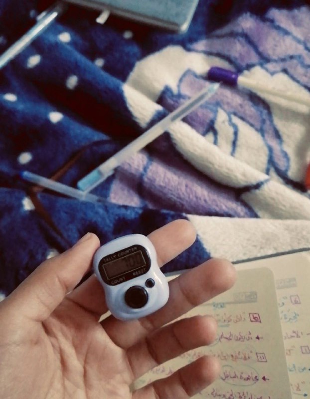 فَراشِة 🦋