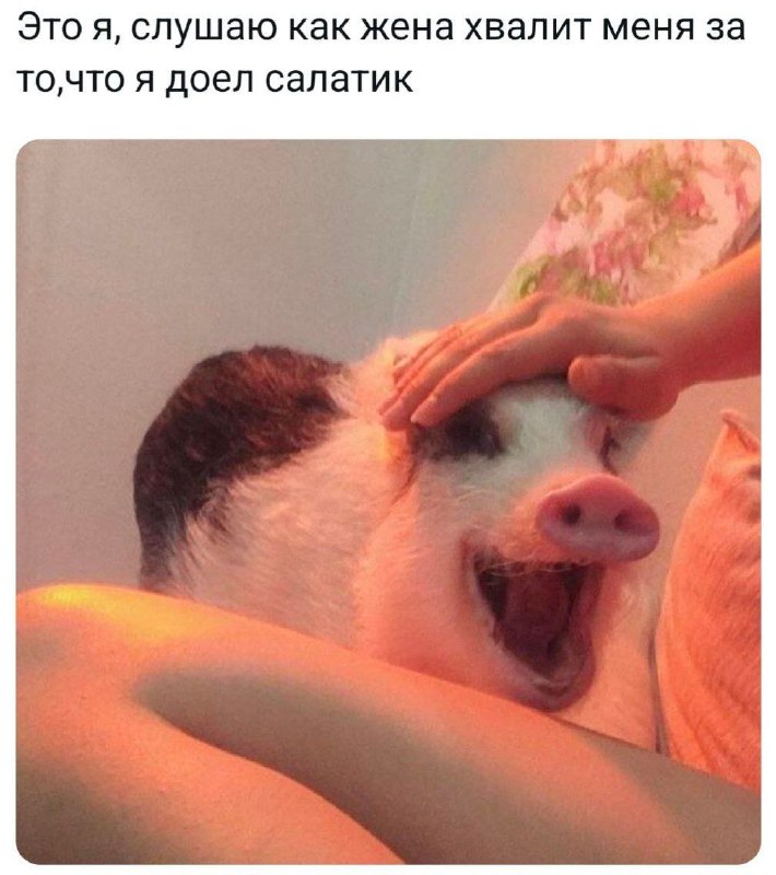 RPFY