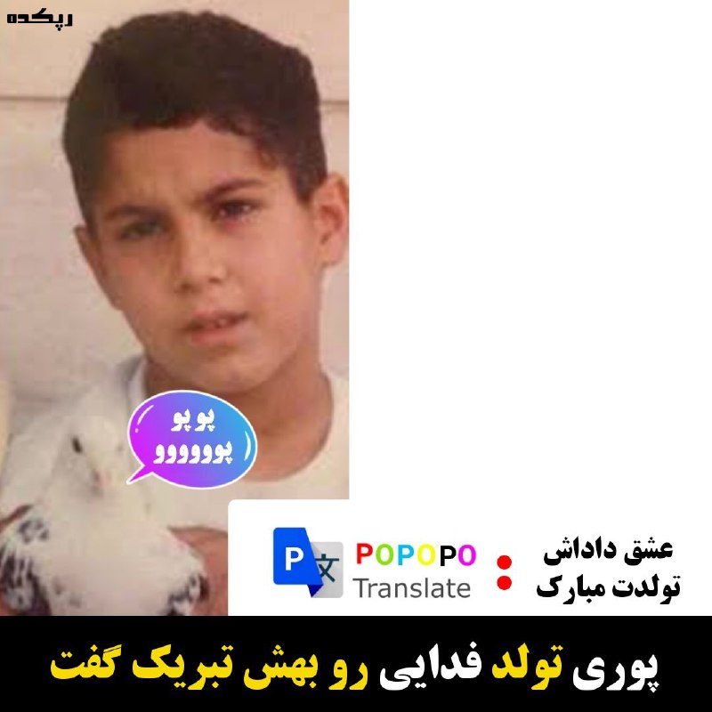 تبریک تولد فدایی توسط پوری