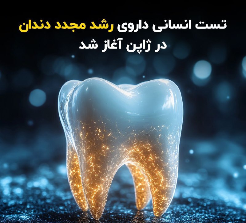 ***?*****تست انسانی داروی رشد مجدد دندان …