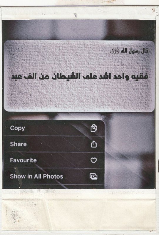 نهج التوحيد ☪️