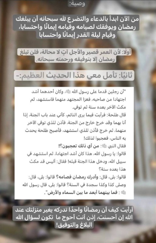 رَاسِخَـة