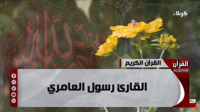 قناة القارئ رسول العامري