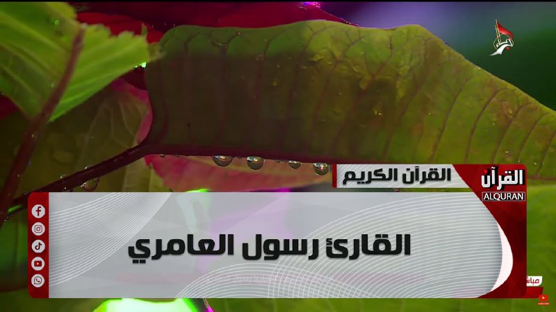 قناة القارئ رسول العامري