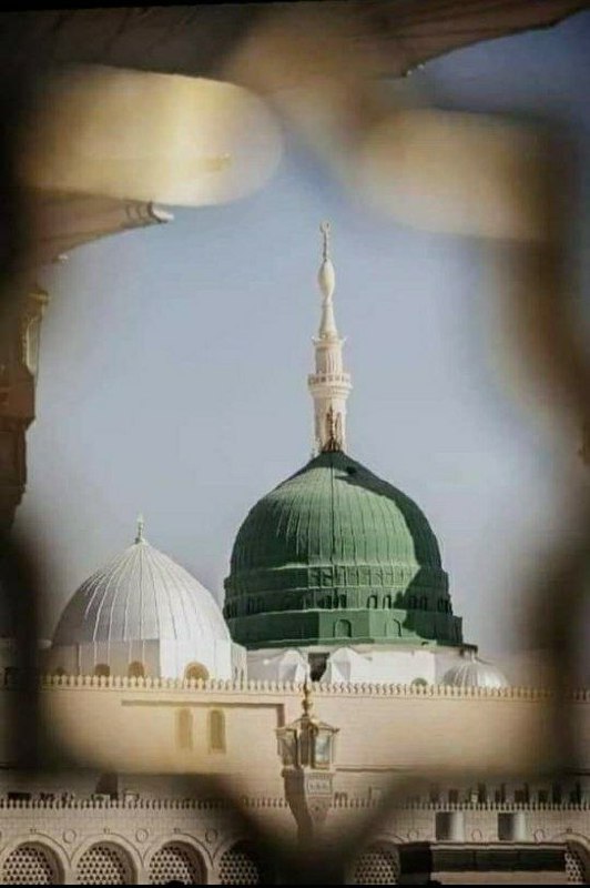 رحمةً للعالمينﷺ♥️