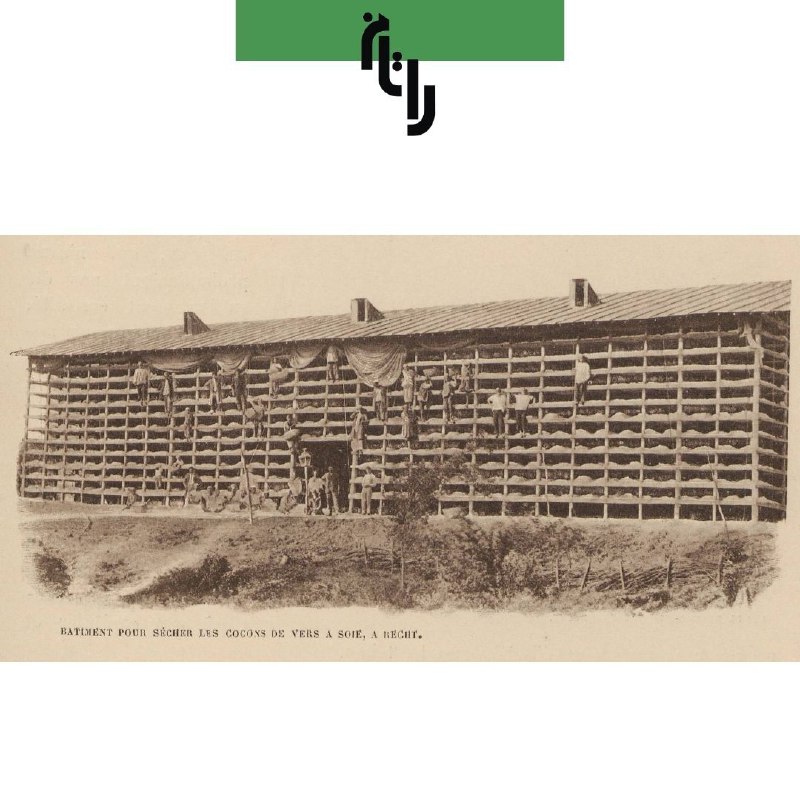 سازه‌ای مخصوص خشک کردن پیله‌ی کرم …