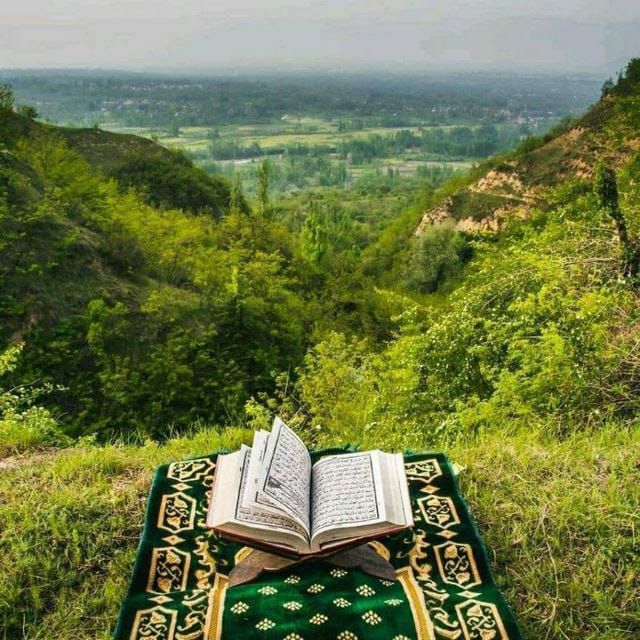 اتصالكَ بالملأ الأعلى حسب حظ روحكَ …