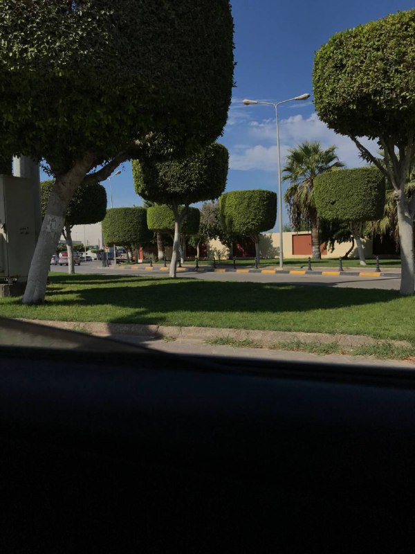 رَيـان ..