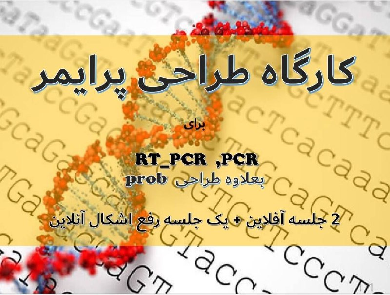 [#کارگاه\_طراحی\_پرایمر](?q=%23%DA%A9%D8%A7%D8%B1%DA%AF%D8%A7%D9%87_%D8%B7%D8%B1%D8%A7%D8%AD%DB%8C_%D9%BE%D8%B1%D8%A7%DB%8C%D9%85%D8%B1)