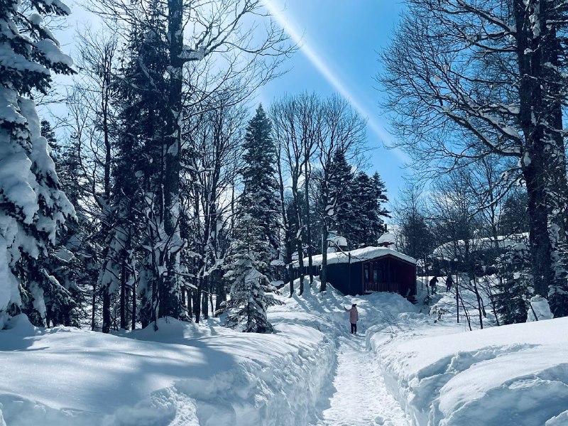 Луч на подоконнике ☀️