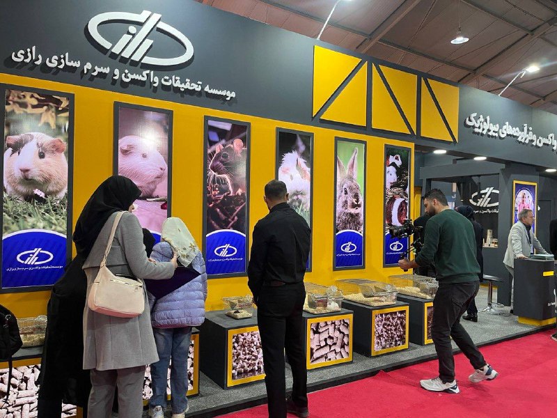 رازی نیوز