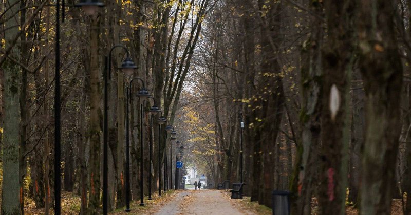 Диалог с главой региона, ремонт Эстакады …