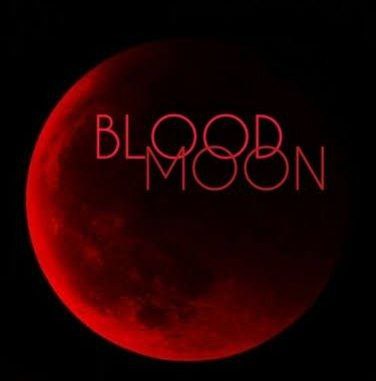 **BloodMoon Kernel** || **KernelSU-Next**