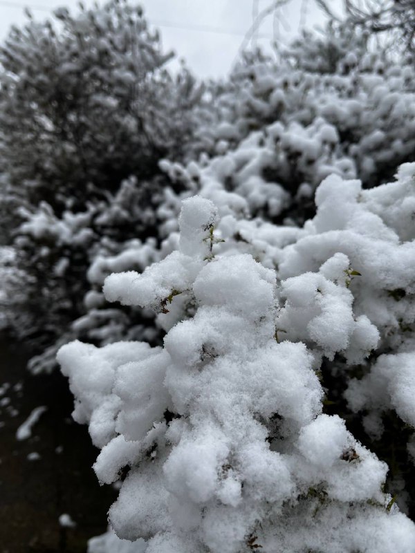 А у нас сегодня первый снег***☃️***