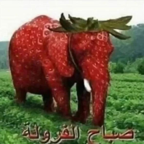 This is the REAL OG [#Strawberryelephant](?q=%23Strawberryelephant) …