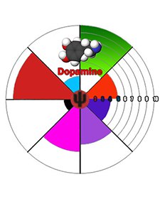 у кого проблемы с подпиской, использовать надо сайт что на пк ,что на смартфоне...