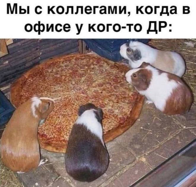 Мои рекомемдации