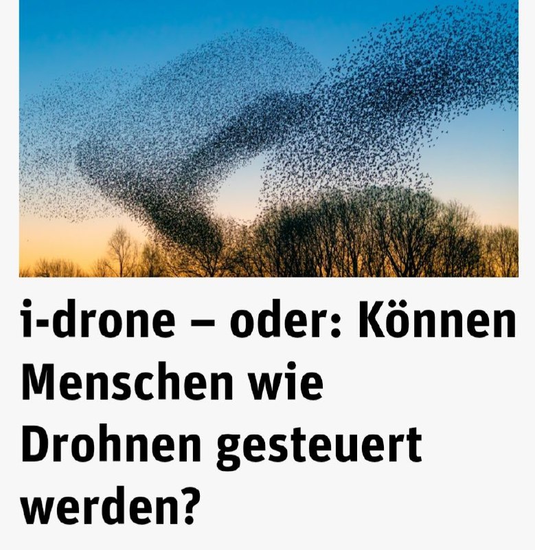 **i-drone – oder: Können Menschen wie …