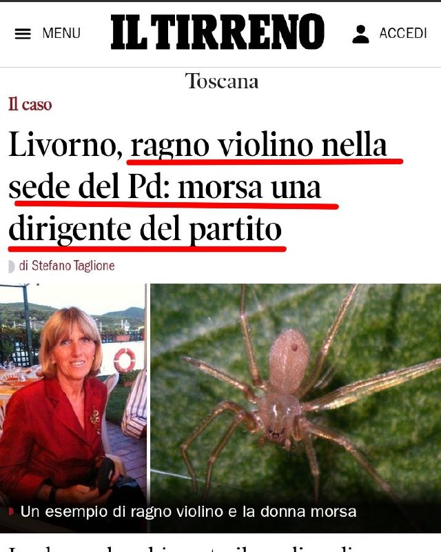 PURTROPPO PARE CHE IL RAGNO SIA …