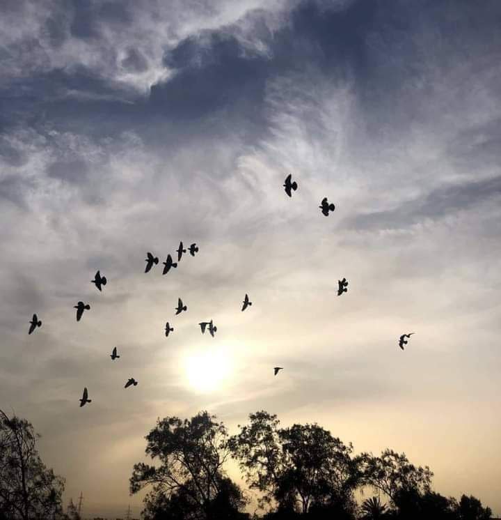 ‏ربُّ السِعة والاتساع ***?***