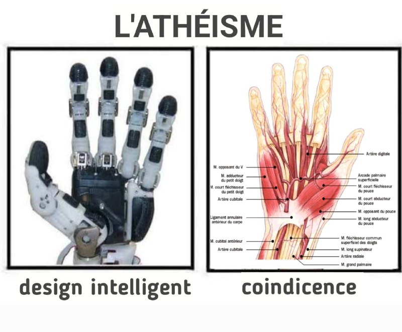 Réfuter l'athéisme🕯