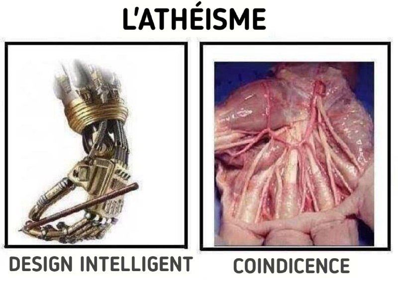 Réfuter l'athéisme🕯