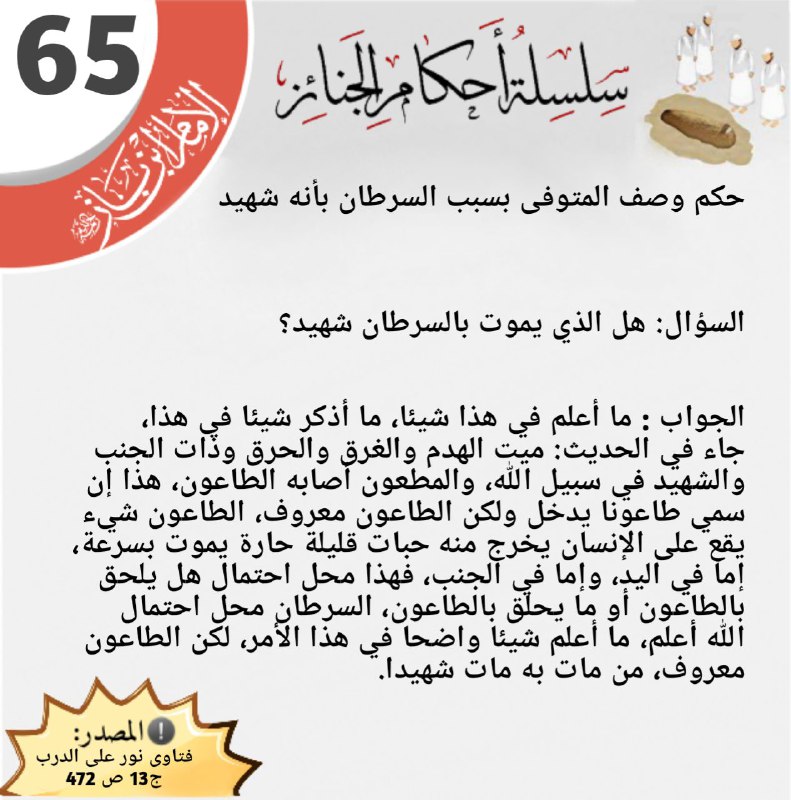 في رحاب القرآن والسنة🌲
