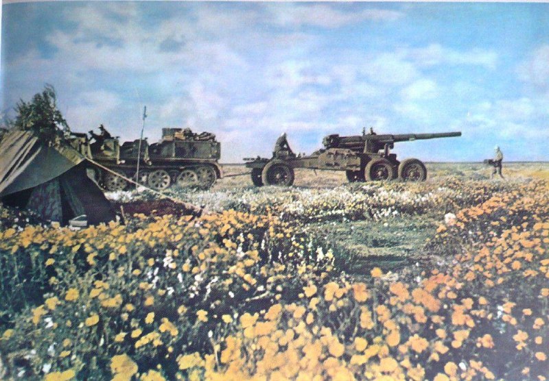 ***?***Deutsche Schwere Artillerie auf einem Feld …