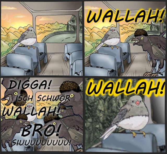 "Ne, warum fährst du denn so …