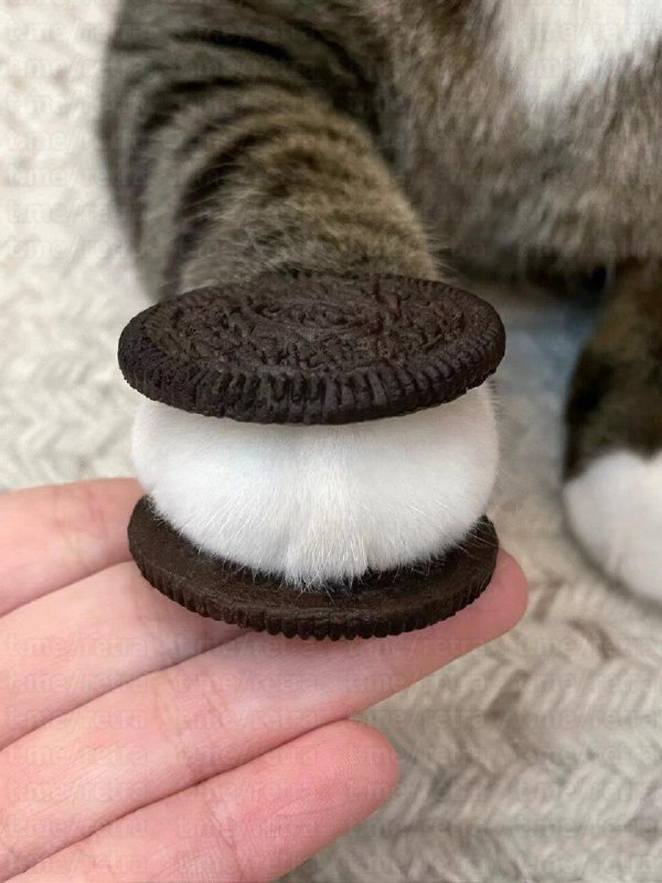 OREO представили новую начинку для своего …