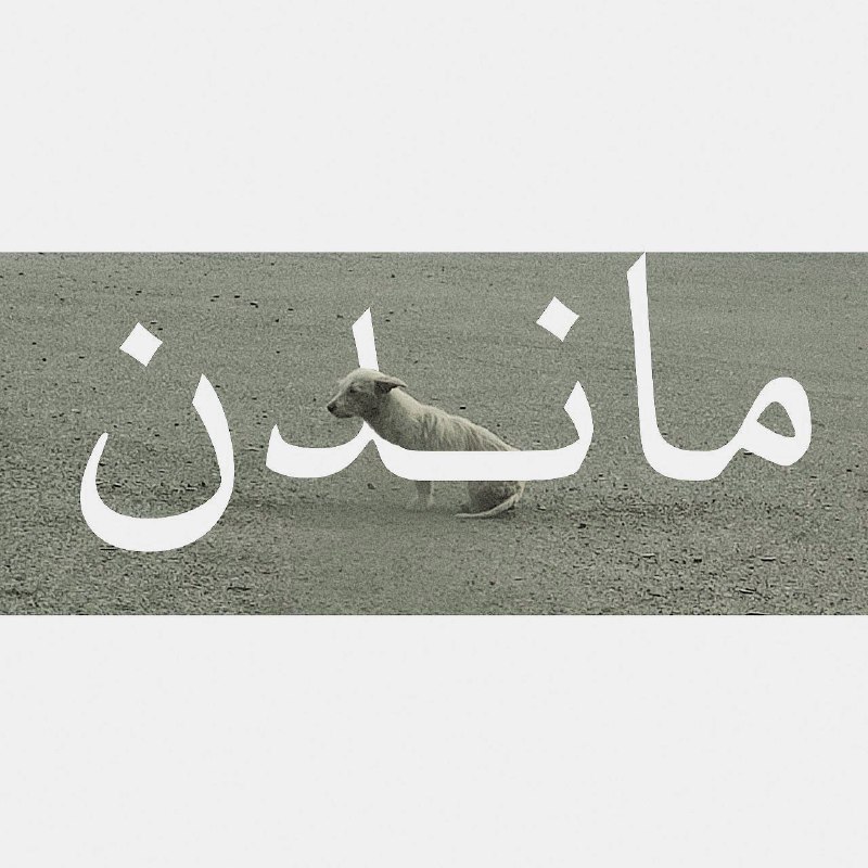 نگاه کردن