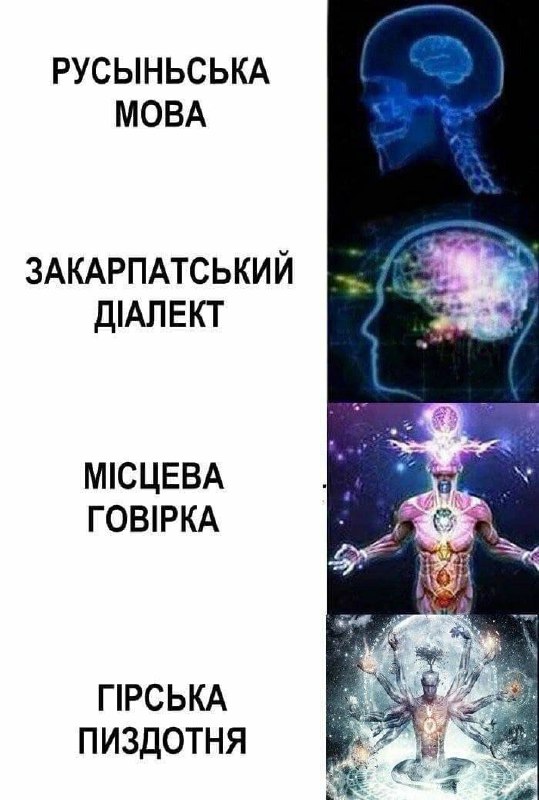 Фонд допомоги довбням 🤓🗿 #УкрСир