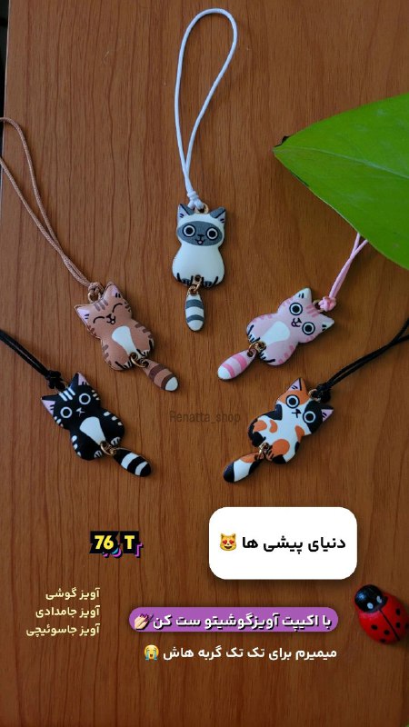 **دنیای پیشی ها** ***?*** آویز گوشی …