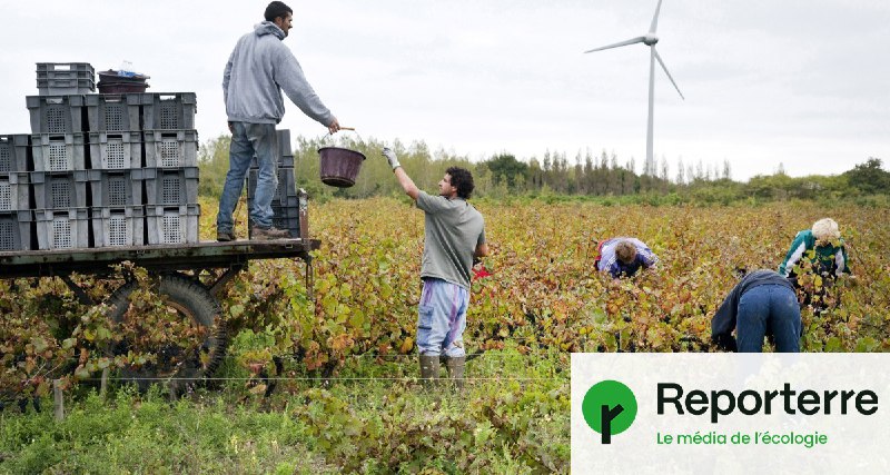 [­](https://l.reporterre.net/98k)Bouvreuil remplace décembre dans le calendrier …