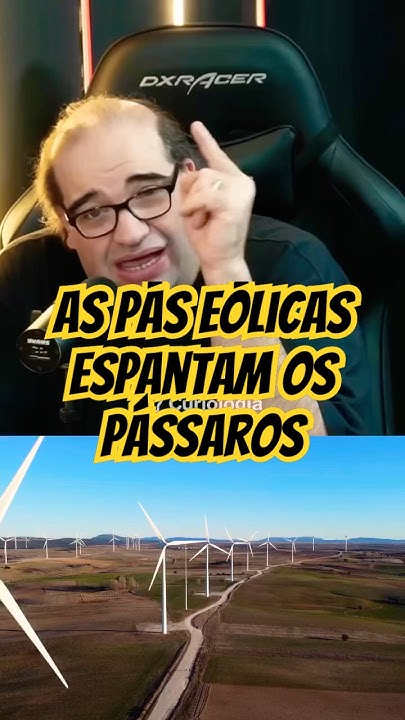 Resíduos, meio ambiente e estado