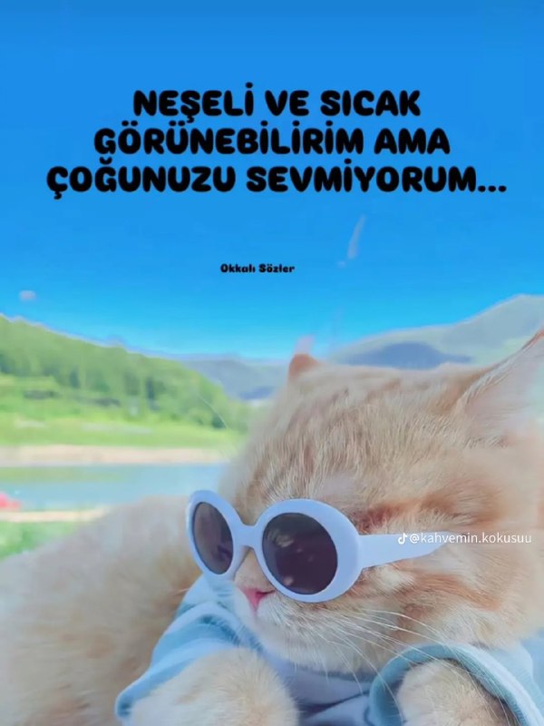 ? RESİMLERİN NEFESİ?