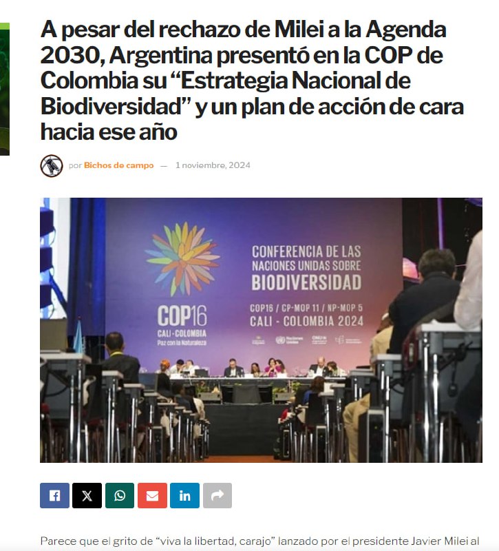 Confederación Rioplatense 2027 🇦🇷🇺🇾🇵🇾🇨🇱🇧🇴🇵🇪🇬🇶🇸🇹🇦🇶