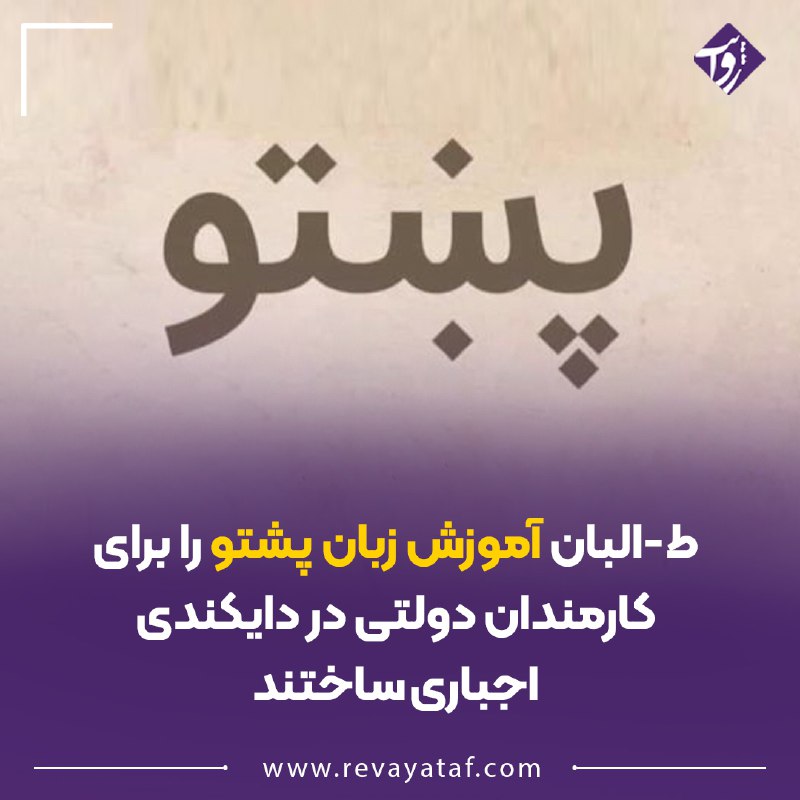 ***🔳*** **منابع محلی در ولایت** [**#دایکندی**](?q=%23%D8%AF%D8%A7%DB%8C%DA%A9%D9%86%D8%AF%DB%8C) …