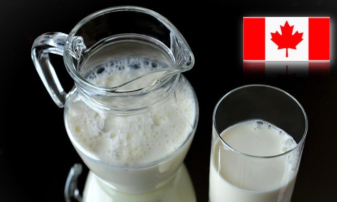 **Kanada wirft Milch aus der Ernährungspyramide**