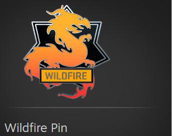 *****🔵***Wildfire Pin***🔵***